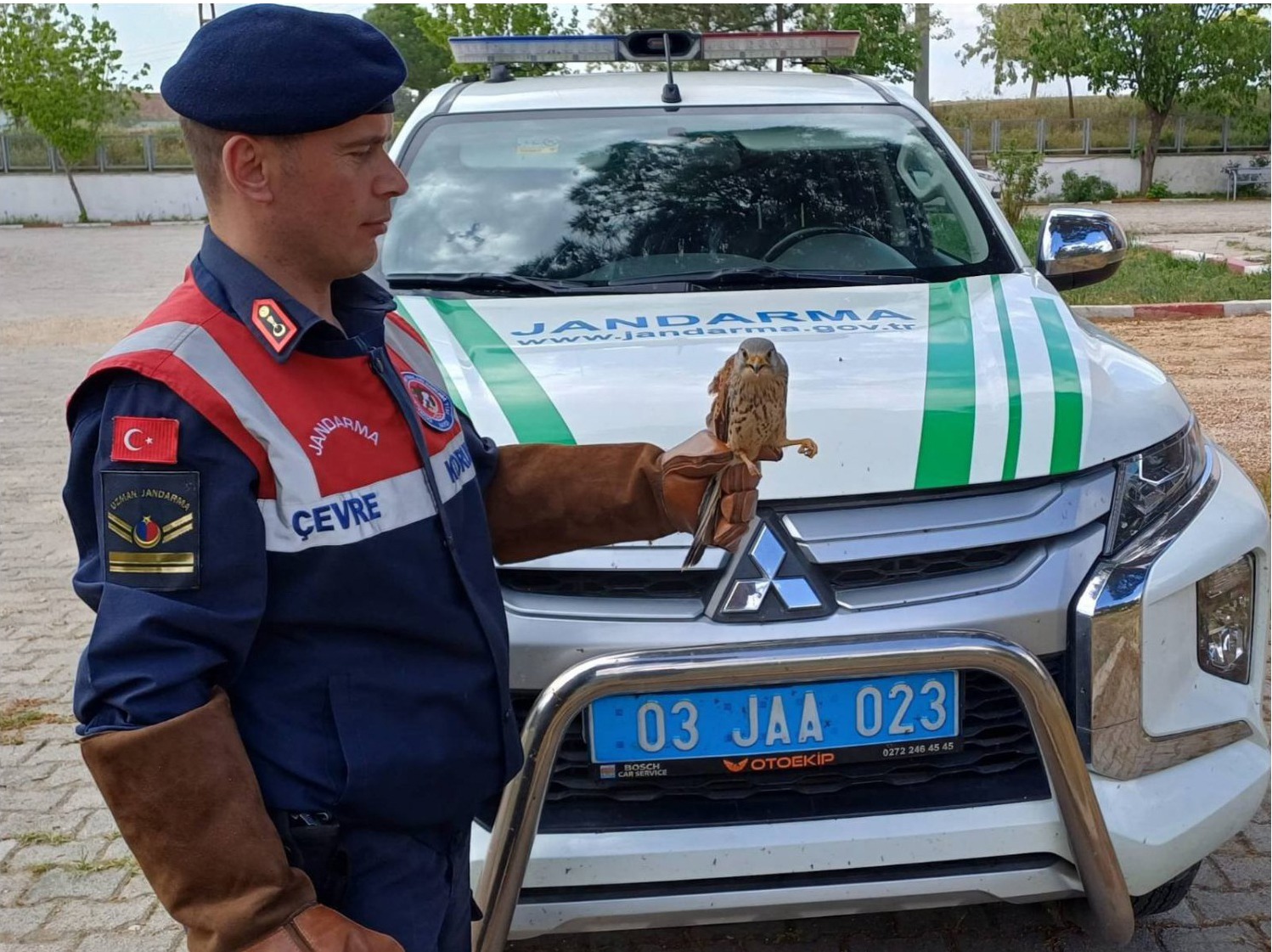 Yaralı kuşu Jandarma kurtardı